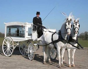 White horses and white Hearse