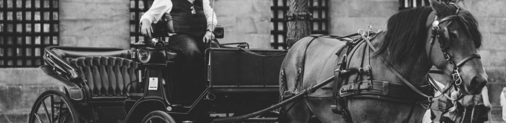 Horse and carriage